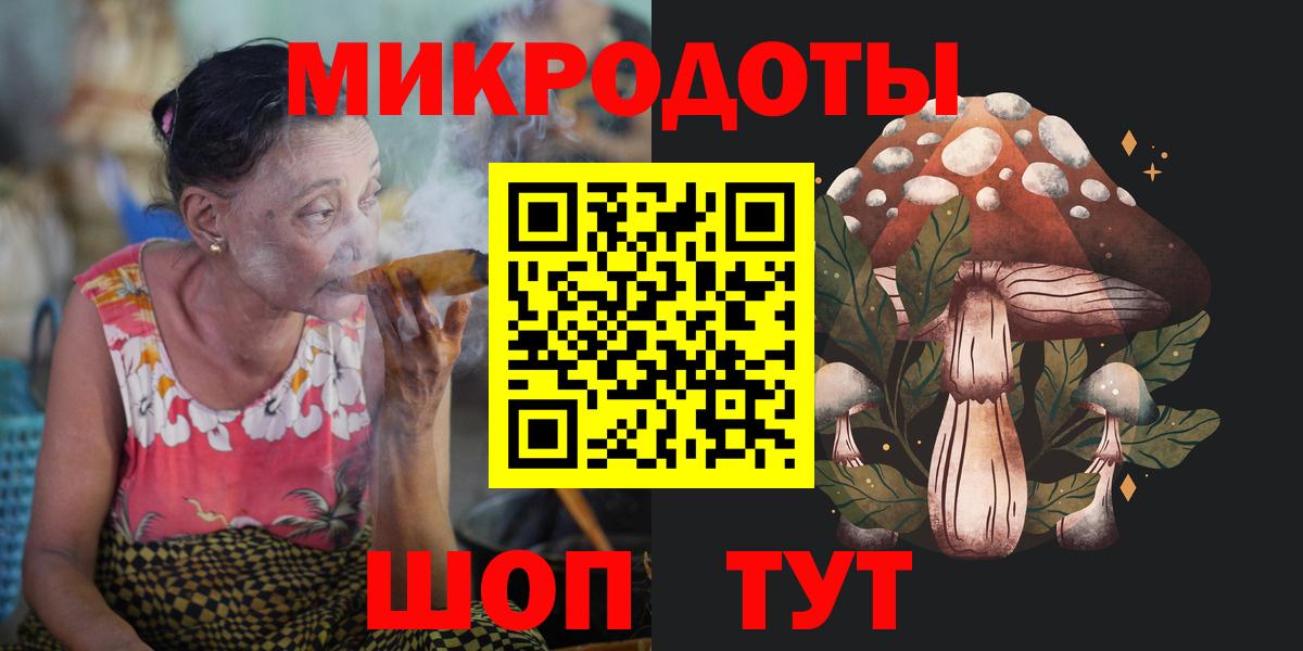 Псилоцибиновые грибы Cubensis Губкинский